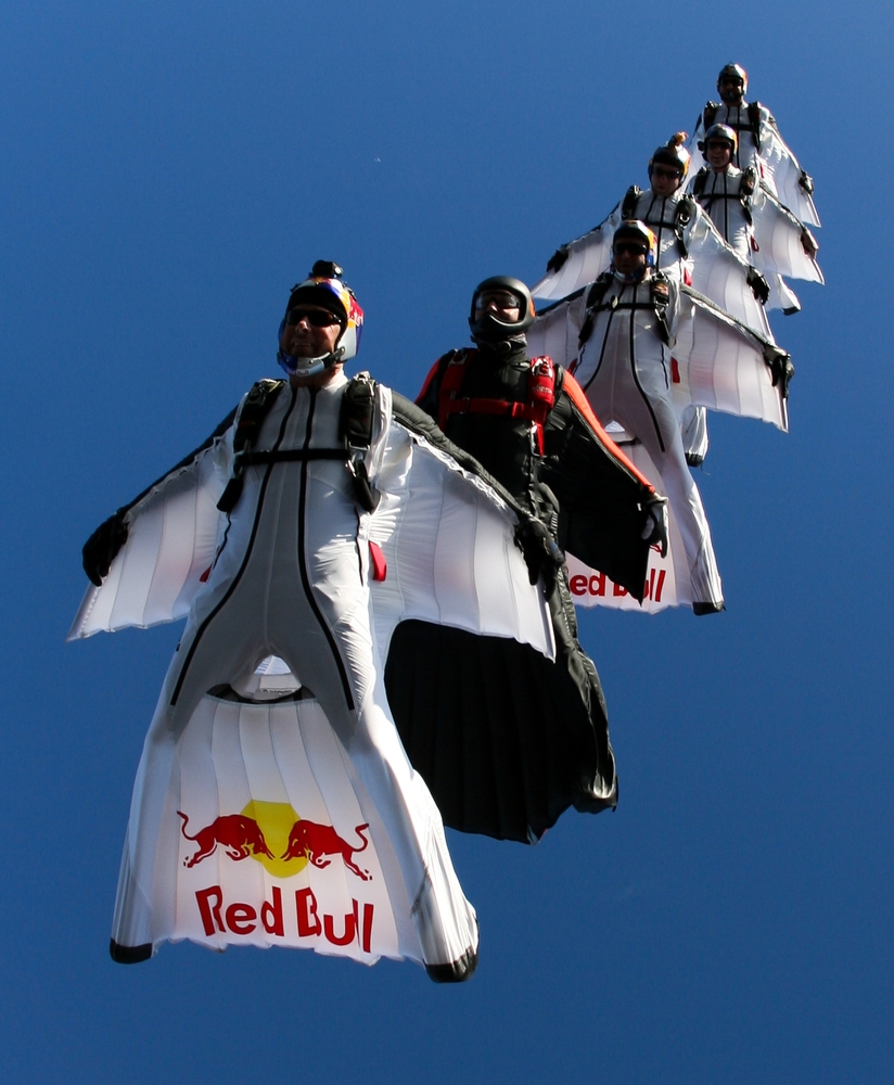 Wingsuit fly. Вингсьют и белки летяги. Вингсьют костюм ред Булл. Вингсьют Химера. Костюм вингсьют парашют.